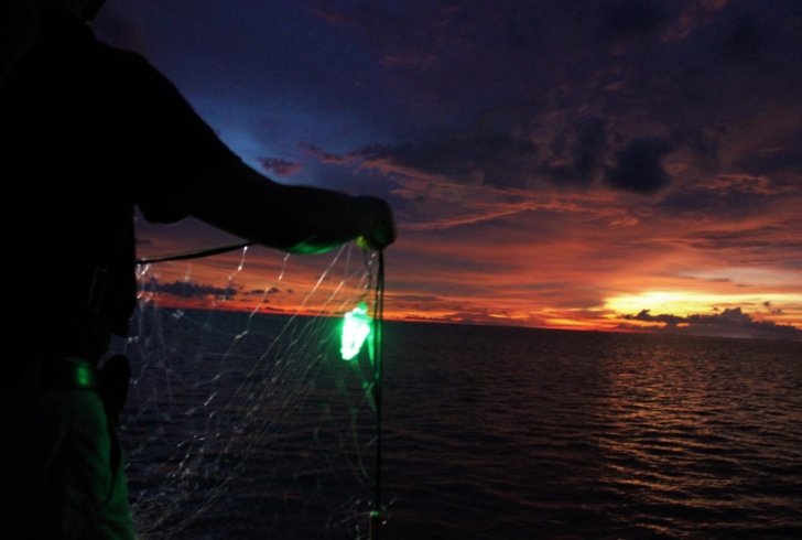 Foto della National Oceanic and Atmospheric Administration (Noaa)